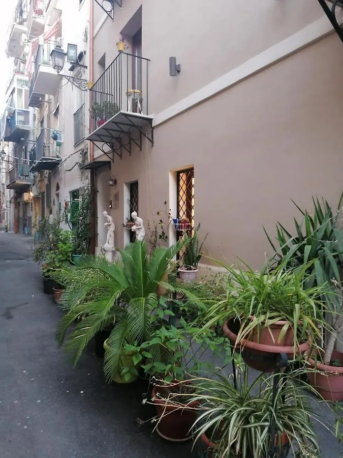 ** Guest house Casa Busari Palermo Italy